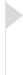 Flag Icon